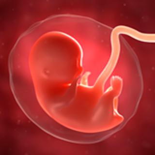 UCSF-Fetal-Treatment-Center-Research-2x