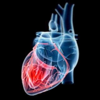 UCSF-Heart-Failure-and-Pulmonary-Hypertension-Research-2x